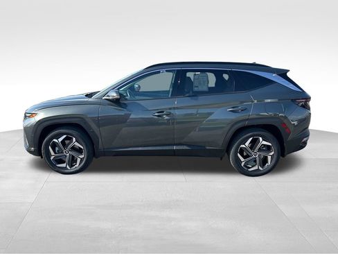 Used 2023 Hyundai Tucson Limited AWD/4WD image 2
