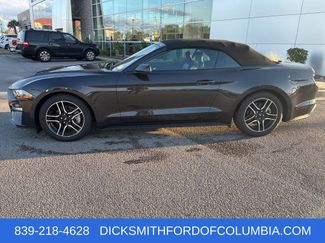 Used 2023 Ford Mustang Premium w/ Equipment Group 201A video 2