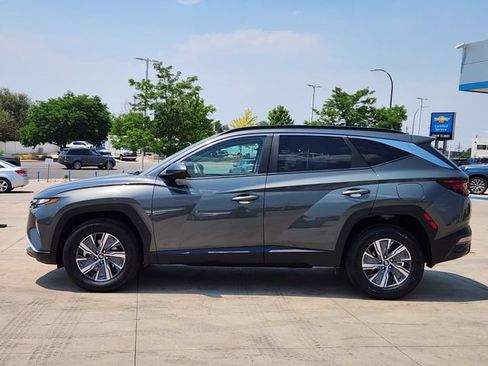 Used 2024 Hyundai Tucson Blue AWD/4WD image 4