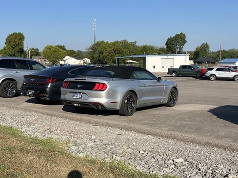Used 2019 Ford Mustang Premium RWD image 3