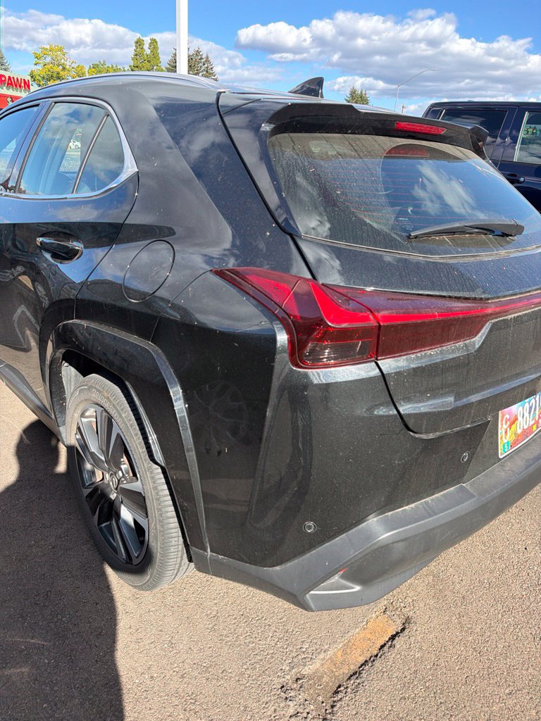 Used 2025 Lexus UX 300h AWD w/ Cold Area Package image 5