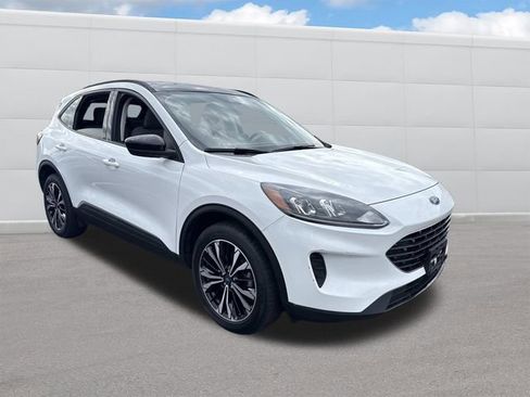 Used 2022 Ford Escape SE w/ SE Sport Appearance Package image 13