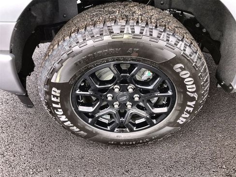 New 2025 Ford F150 XLT w/ Equipment Group 302A MID image 10