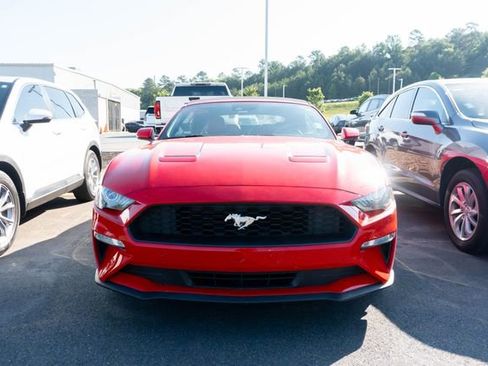 Used 2019 Ford Mustang Premium w/ Equipment Group 201A RWD image 2
