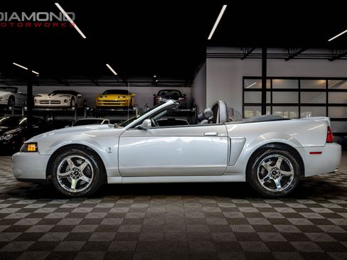 Used 2004 Ford Mustang Cobra RWD image 13