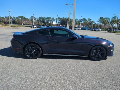 Used 2023 Ford Mustang EcoBoost w/ Equipment Group 101A image 4