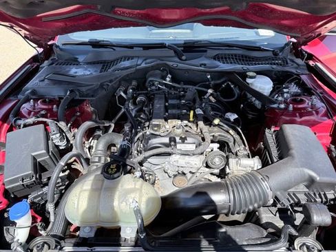 Used 2021 Ford Mustang Convertible w/ Equipment Group 101A RWD image 17