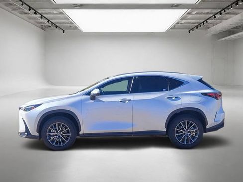 Used 2025 Lexus NX 350h AWD w/ Cold Area Package image 2