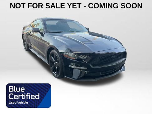 Used 2021 Ford Mustang Coupe w/ Black Accent Package image 1