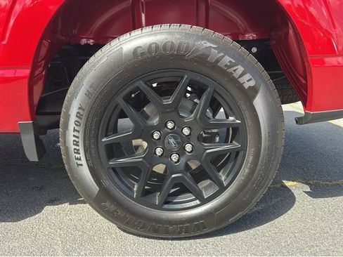 Used 2025 Ford F150 STX w/ STX Black Appearance Package RWD image 41