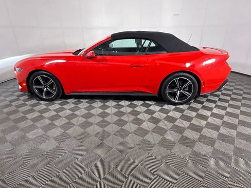 Used 2025 Ford Mustang Premium RWD image 8