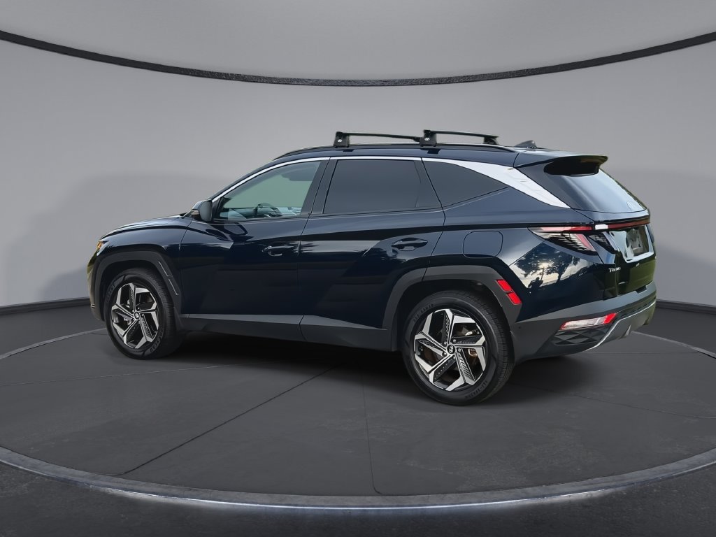 Used 2023 Hyundai Tucson Limited w/ Cargo Package AWD/4WD image 6