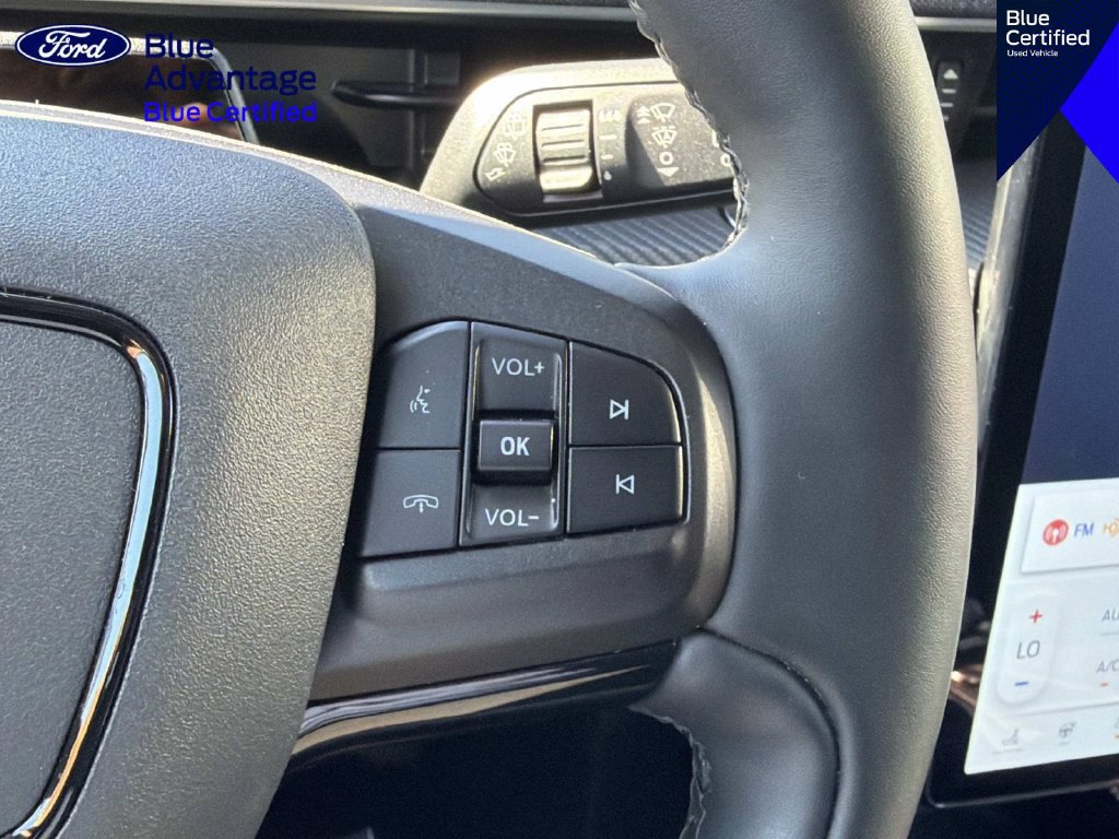 Used 2021 Ford Mustang Mach-E Premium RWD image 20