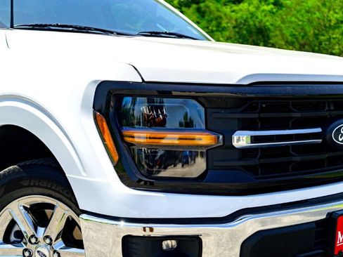 Used 2025 Ford F150 XLT w/ Equipment Group 301A Standard RWD image 4