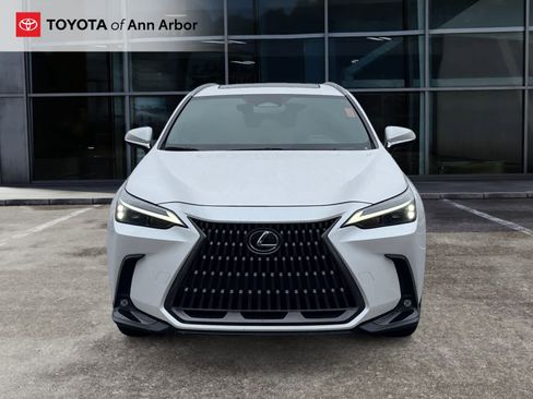 Used 2024 Lexus NX 350 AWD w/ Cold Area Package image 14