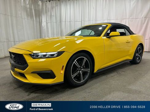 Used 2024 Ford Mustang Premium image 4