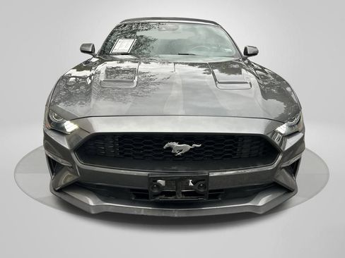 Used 2023 Ford Mustang Premium w/ Equipment Group 201A image 2