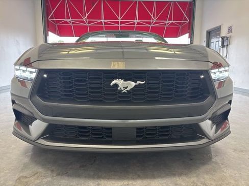 Used 2025 Ford Mustang Premium RWD image 2