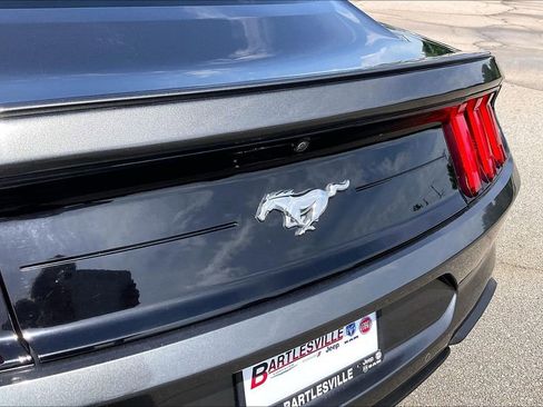Used 2019 Ford Mustang Coupe w/ Equipment Group 101A RWD image 14