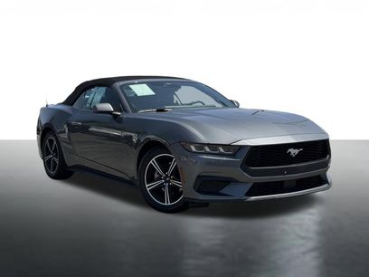 Used 2025 Ford Mustang Premium