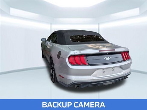 Used 2019 Ford Mustang Premium RWD image 2