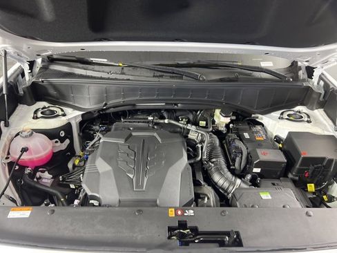 New 2026 Hyundai Palisade Calligraphy image 3