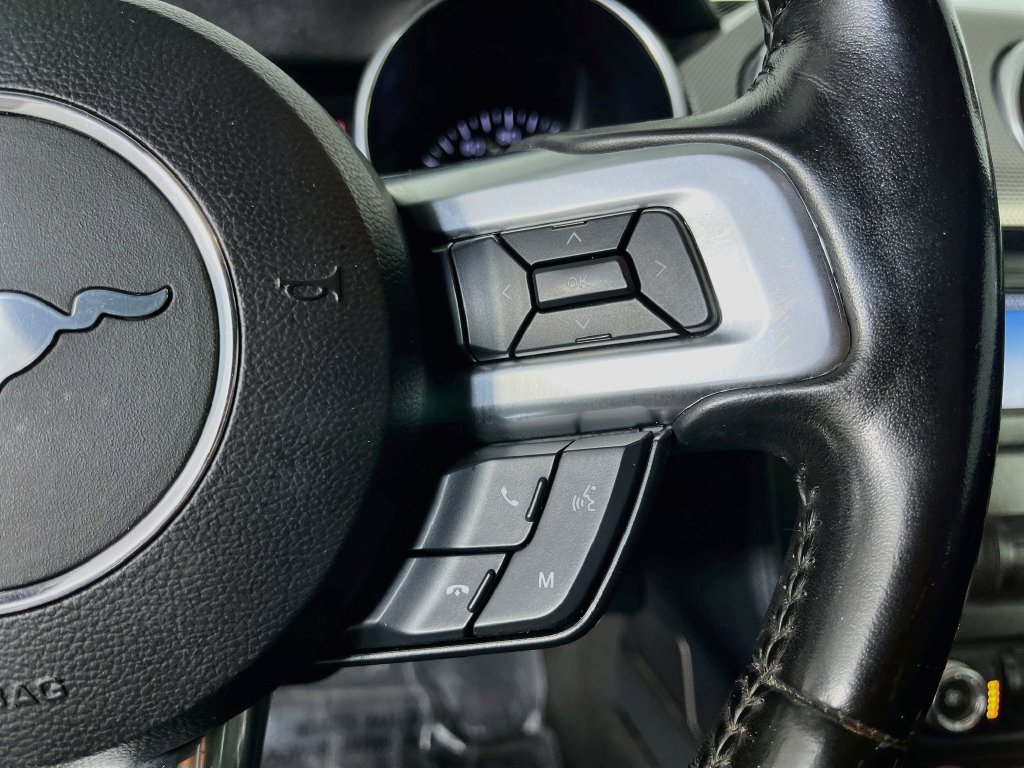 Used 2019 Ford Mustang GT w/ Black Accent Package RWD image 15