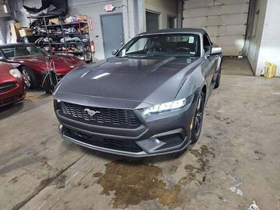 Used 2025 Ford Mustang Premium
