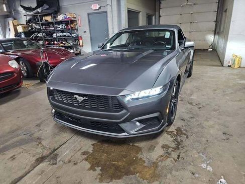 Used 2025 Ford Mustang Premium RWD image 1