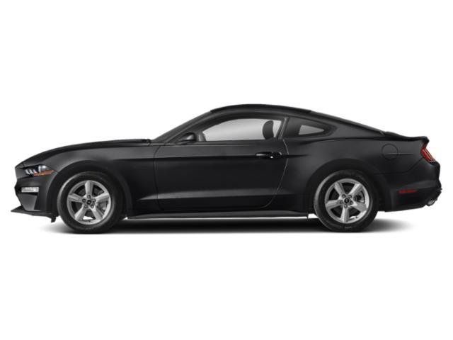 Used 2019 Ford Mustang Coupe RWD image 6