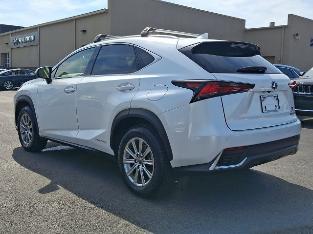 Used 2020 Lexus NX 300h AWD w/ Comfort Package image 4