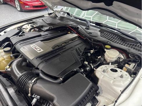 Used 2019 Ford Mustang GT w/ Equipment Group 301A RWD image 21