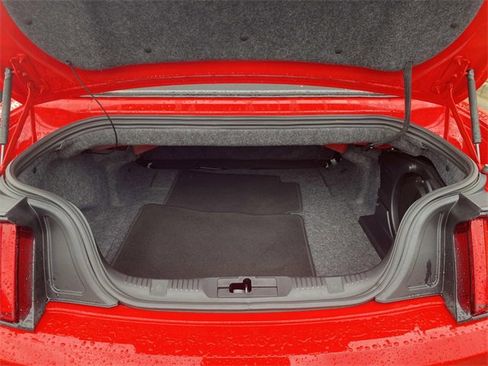 Certified 2017 Ford Mustang Premium w/ Equipment Group 201A image 11