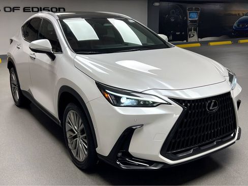 Certified 2023 Lexus NX 350h AWD w/ Vision Package image 1
