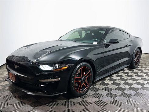 Used 2019 Ford Mustang Coupe w/ Equipment Group 101A image 4