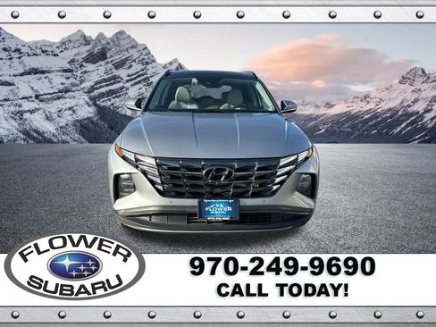 Used 2024 Hyundai Tucson Limited image 2