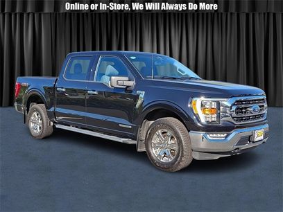 Used 2023 Ford F150 XLT w/ Equipment Group 302A High