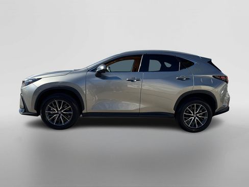 Used 2024 Lexus NX 250 FWD w/ Cold Area Package image 2