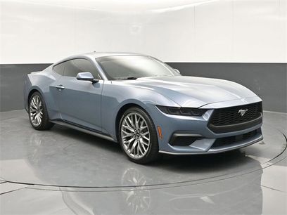 Used 2025 Ford Mustang Premium