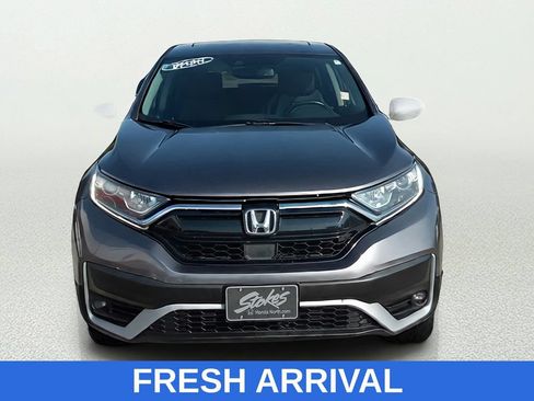 Used 2020 Honda CR-V EX-L image 2