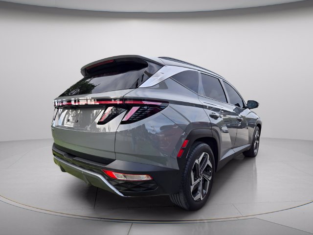 Used 2024 Hyundai Tucson Limited FWD image 4