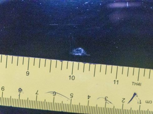 Used 2006 Ford Mustang GT Premium image 29