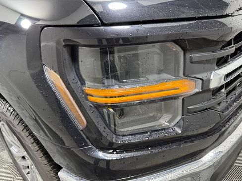 Used 2025 Ford F150 XLT w/ Equipment Group 303A High AWD/4WD image 12