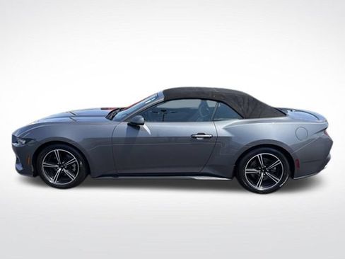 Used 2024 Ford Mustang Premium RWD image 3