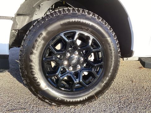 New 2025 Ford F150 XLT w/ Equipment Group 302A MID image 16