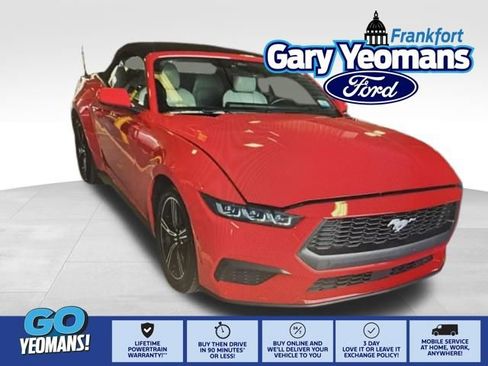 Used 2024 Ford Mustang Premium image 1