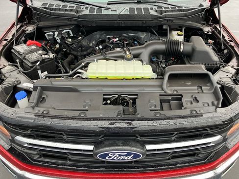 Used 2025 Ford F150 XLT w/ Equipment Group 301A Standard image 38