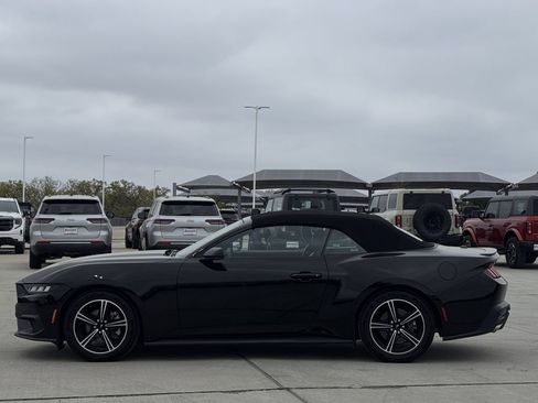 Used 2024 Ford Mustang Premium image 3