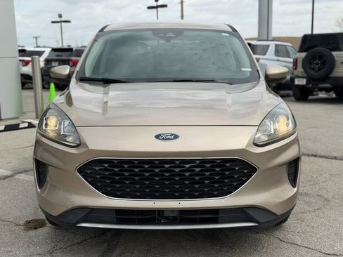 Used 2020 Ford Escape SE FWD image 2