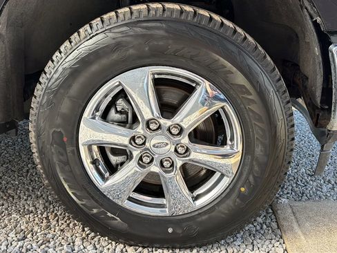 Used 2019 Ford F150 XLT w/ Equipment Group 302A Luxury AWD/4WD image 7